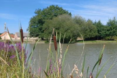 Location salle Saint-Viâtre (Loir-et-Cher) - Le Gué de la Terre #29