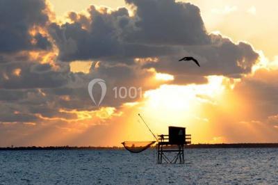 Location salle Fouras (Charente-Maritime) - Casino De Fouras #13