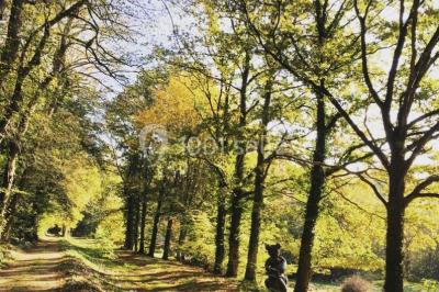 Location salle Saint-Forget (Yvelines) - Château De Mauvières #18