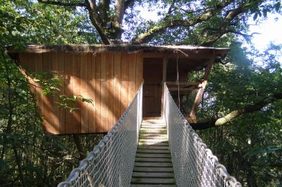 Activités : accrobranche, course d'orientation, archery tag...