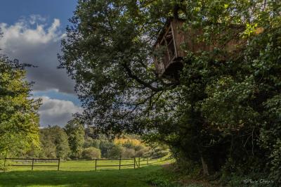 Activités : accrobranche, course d'orientation, archery tag...