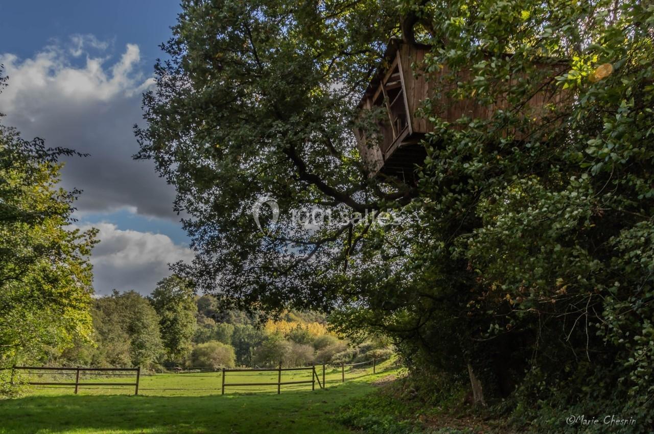 Cabane Pivert à 8m - max 4 couchages