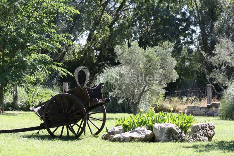 Location salle Arles (Bouches-du-Rhône) - Mas des Jasses #4