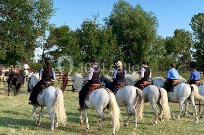 Location salle Arles (Bouches-du-Rhône) - Mas des Jasses #17