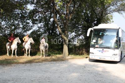 Location salle Arles (Bouches-du-Rhône) - Mas des Jasses #17