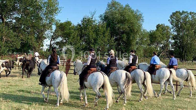 Location salle Arles (Bouches-du-Rhône) - Mas des Jasses #18