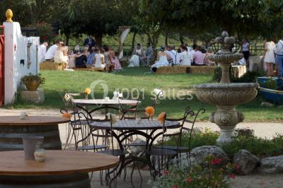 Miniature Location salle Arles (Bouches-du-Rhône) - Mas des Jasses #8 Location salle Arles (Bouches-du-Rhône) - Mas des Jasses #18