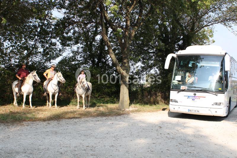 Location salle Arles (Bouches-du-Rhône) - Mas des Jasses #17