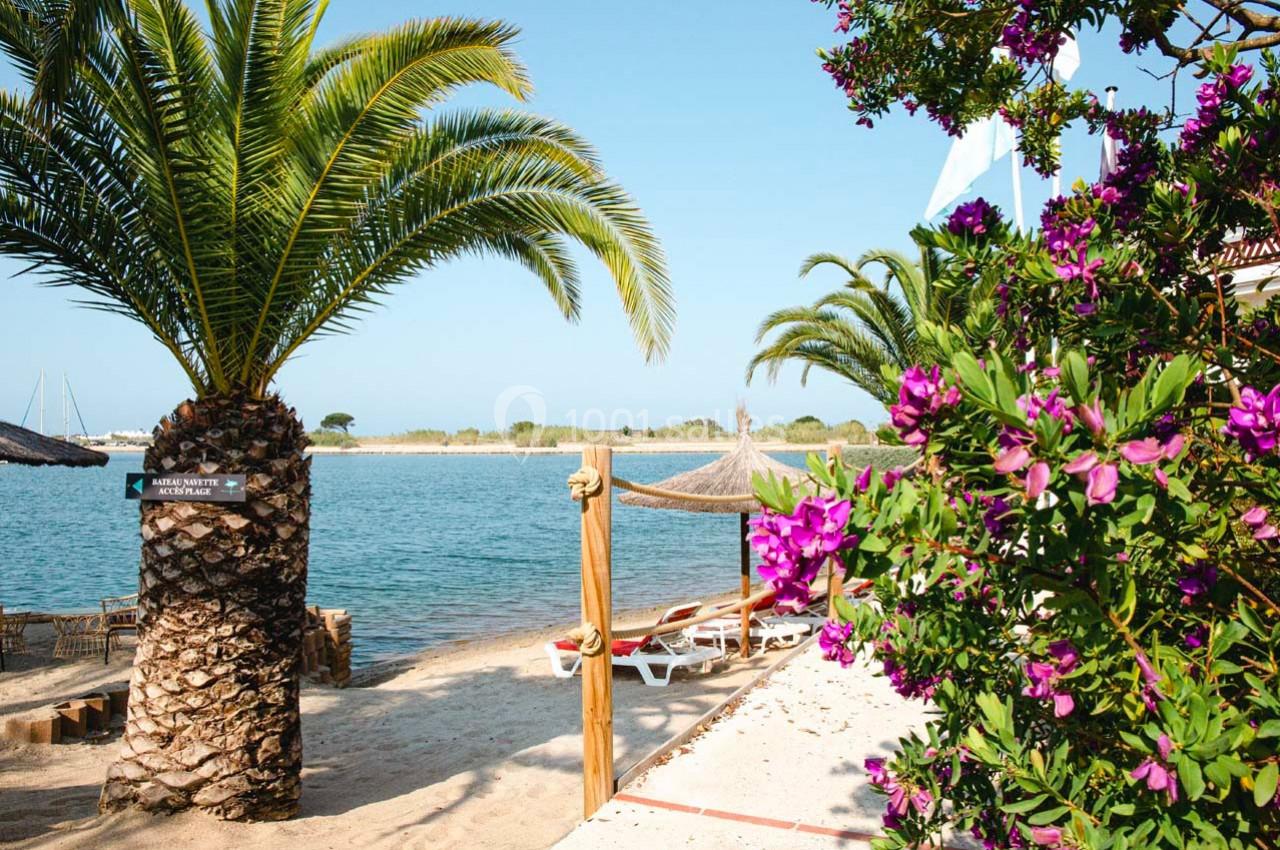 Plage bordée de palmiers et de fleurs violettes, avec transats sous des parasols en paille près d'une eau calme.