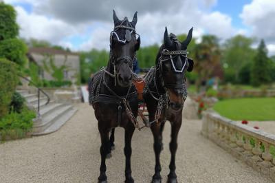 Un couple de mariés s'embrasse devant des invités applaudissant dans une salle de réception lumineuse.