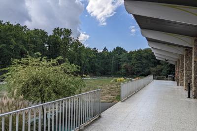 Assiettes dressées avec des roulés de volaille, légumes râpés et décorations de sauce, en préparation en cuisine.
