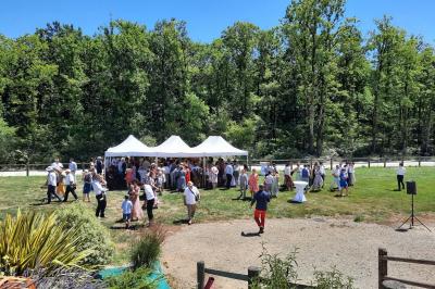 Assiettes dressées avec des roulés de volaille, légumes râpés et décorations de sauce, en préparation en cuisine.