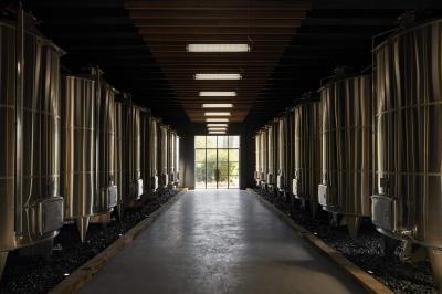 Terrains de padel extérieurs entourés d'arbres et éclairés par des lampadaires, avec un chemin en premier plan.