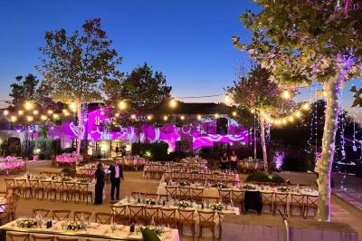 Terrains de padel extérieurs entourés d'arbres et éclairés par des lampadaires, avec un chemin en premier plan.