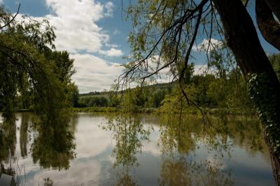 Étang calme entouré d'arbres avec un paysage vallonné en arrière-plan sous une lumière naturelle.