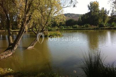 Étang calme entouré d'arbres avec un paysage vallonné en arrière-plan sous une lumière naturelle.