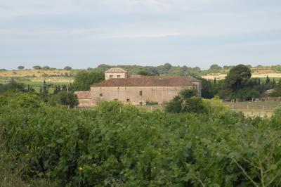 Location salle Saint-Thibéry (Hérault) - Domaine les Castans #23