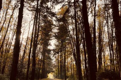 Location salle Le Pin-en-Mauges (Maine-et-Loire) - Domaine de la Jousselinière #6