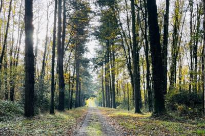 Location salle Le Pin-en-Mauges (Maine-et-Loire) - Domaine de la Jousselinière #6