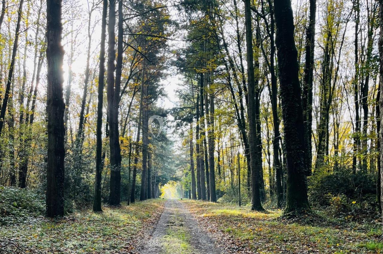Location salle Le Pin-en-Mauges (Maine-et-Loire) - Domaine de la Jousselinière #4