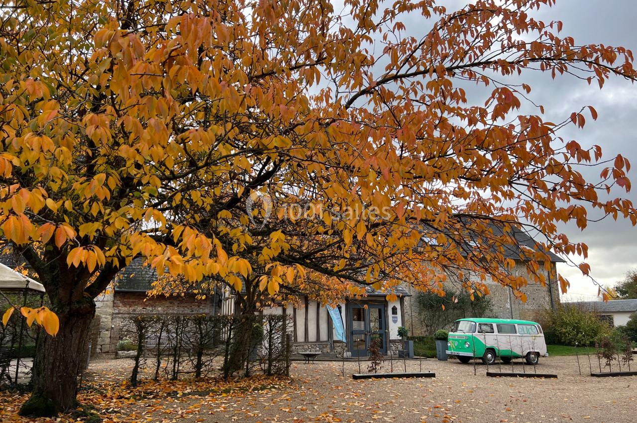 Arbre aux feuilles d'automne devant une maison en pierre et un van coloré stationné sur une allée gravillonnée.