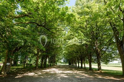 Deux portes en pierre et bois s'ouvrent sur des pièces lumineuses avec mobilier classique et parquet.