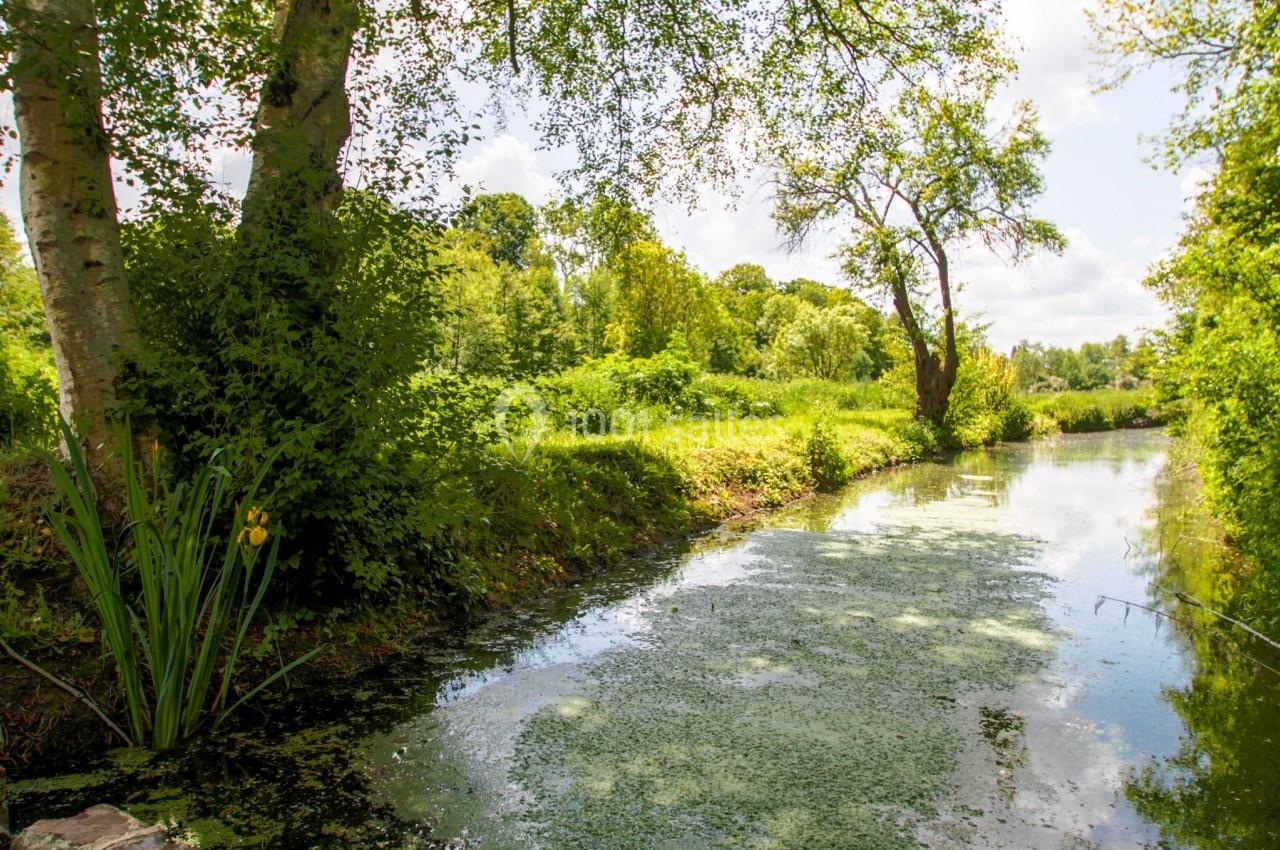 Vue d'un petit cours d'eau bordé de végétation luxuriante sous un ciel partiellement nuageux.