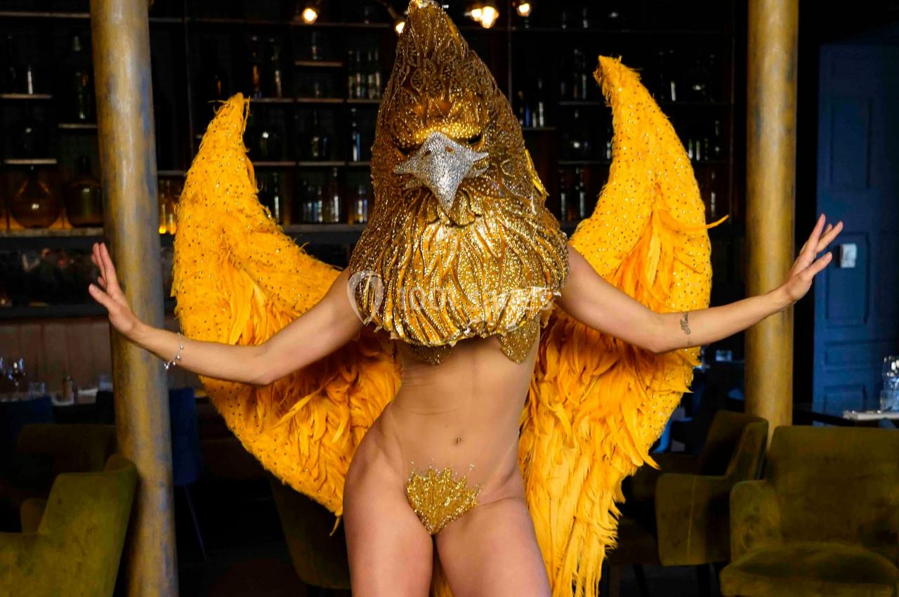 Personne portant un costume doré extravagant avec un masque en forme de tête d'oiseau et des ailes jaunes déployées.