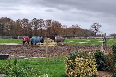 Location salle Dammartin-en-Serve (Yvelines) - La Joie du Palmier #13