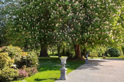 Location salle Tigeaux (Seine-et-Marne) - Le Manoir de Tigeaux #14