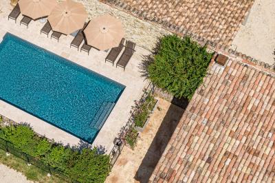 Dessert composé de fraises fraîches, sorbet, crème chantilly et petites feuilles de basilic dans une assiette blanche.