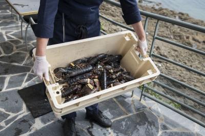 Chambre lumineuse avec lit double, bureau en bois, lampe et rideaux colorés près de fenêtres donnant sur l'extérieur.