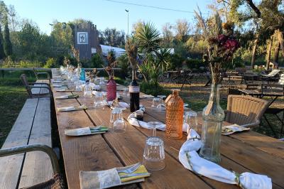 Une femme lit un discours devant un couple assis sous une arche décorée, lors d'une cérémonie en extérieur.
