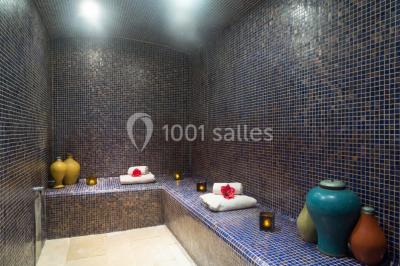 Miniature Location salle Mosnes (Indre-et-Loire) - Domaine des Thomeaux #11 Location salle Mosnes (Indre-et-Loire) - Domaine des Thomeaux #19