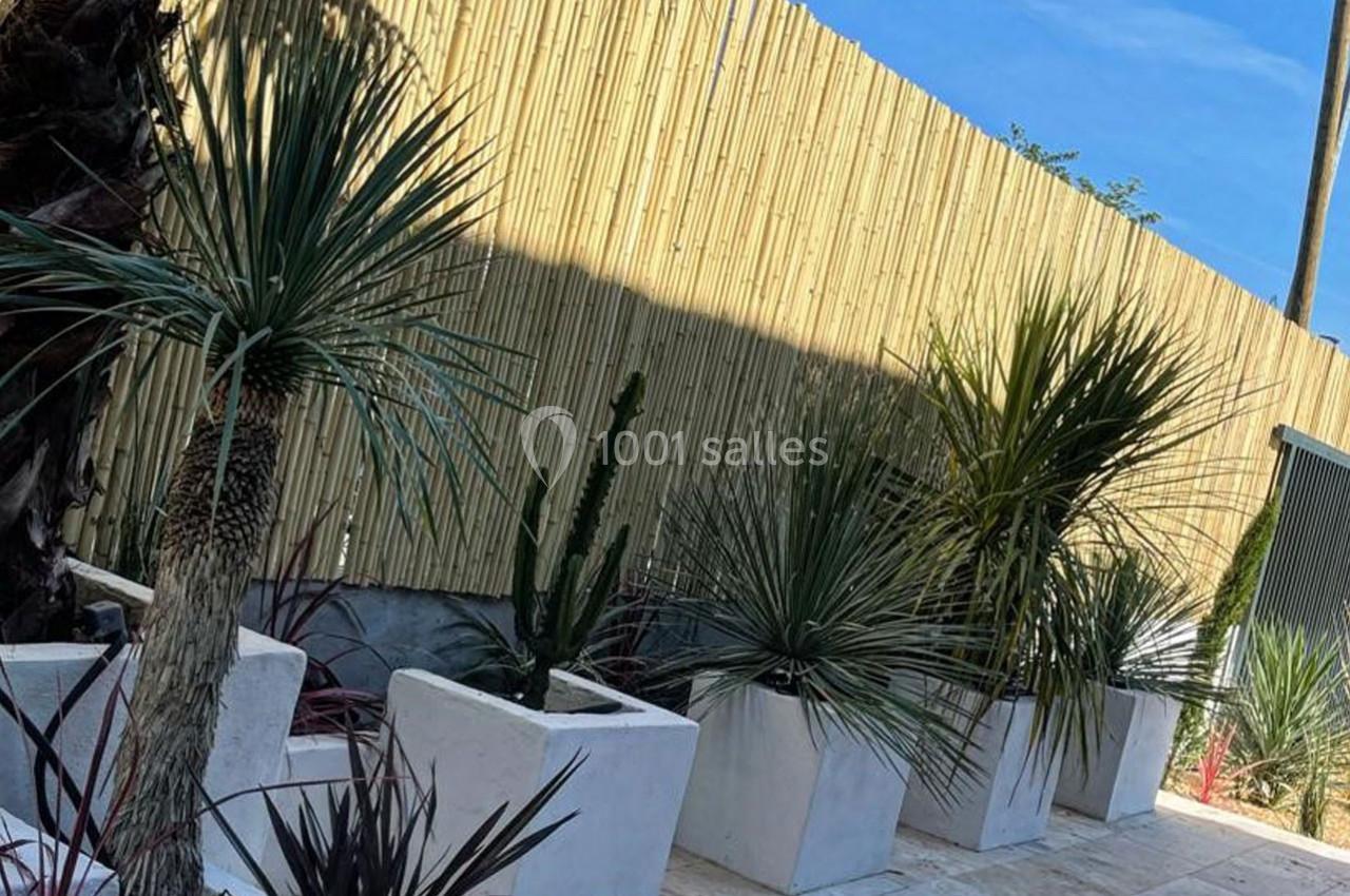 Plantes variées en pots blancs alignées devant une clôture en bambou sous un ciel dégagé.