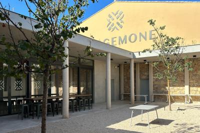 Vignes verdoyantes bordées d'arbres avec une montagne en arrière-plan sous un ciel dégagé.