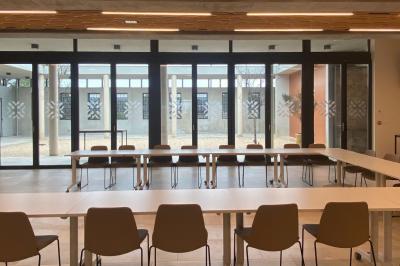 Vignes verdoyantes bordées d'arbres avec une montagne en arrière-plan sous un ciel dégagé.