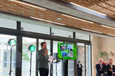 Vignes verdoyantes bordées d'arbres avec une montagne en arrière-plan sous un ciel dégagé.