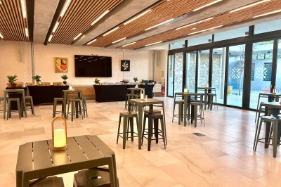 Vignes verdoyantes bordées d'arbres avec une montagne en arrière-plan sous un ciel dégagé.