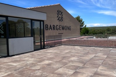 Vignes verdoyantes bordées d'arbres avec une montagne en arrière-plan sous un ciel dégagé.