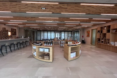 Vignes verdoyantes bordées d'arbres avec une montagne en arrière-plan sous un ciel dégagé.