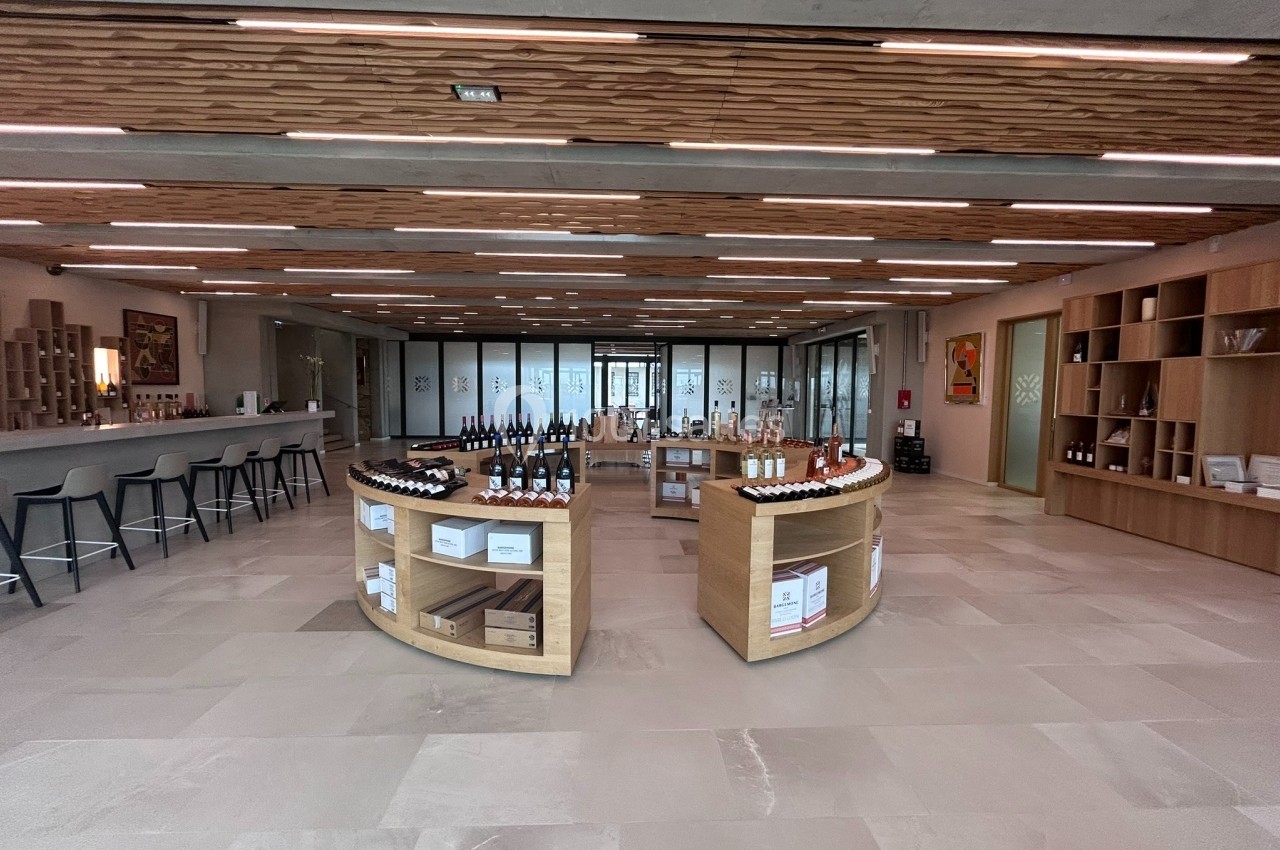 Salle moderne avec comptoirs en bois, étagères présentant des bouteilles de vin et espace de dégustation.