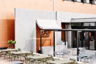 Vignes verdoyantes bordées d'arbres avec une montagne en arrière-plan sous un ciel dégagé.