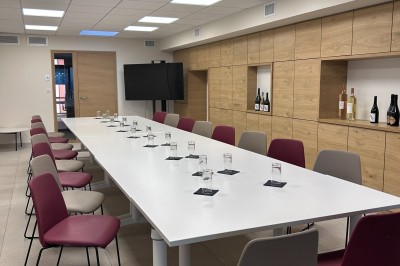 Vignes verdoyantes bordées d'arbres avec une montagne en arrière-plan sous un ciel dégagé.