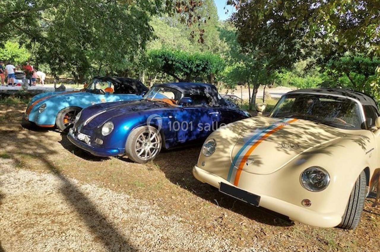 Trois voitures de collection garées en extérieur, sous des arbres, avec un paysage verdoyant en arrière-plan.