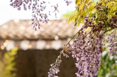Lit avec serviettes roulées dans une chambre aux murs en pierre apparente et fenêtre laissant entrer la lumière naturelle.