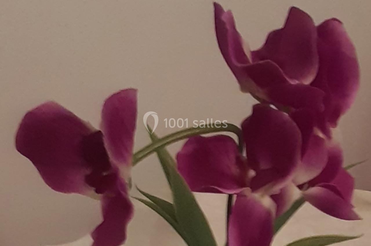 Photo Mireille Déco Service 92  #10