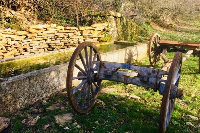 Façade d'une maison beige à volets verts, reflétée dans un bassin entouré de pierres et de végétation.