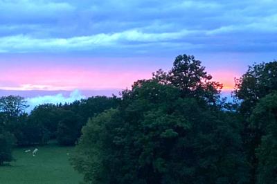 Façade d'une maison beige à volets verts, reflétée dans un bassin entouré de pierres et de végétation.