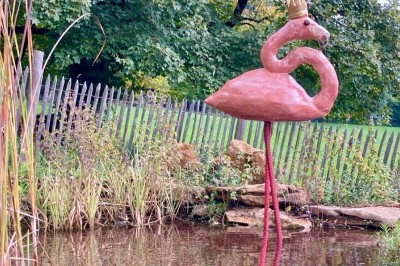 Façade d'une maison beige à volets verts, reflétée dans un bassin entouré de pierres et de végétation.